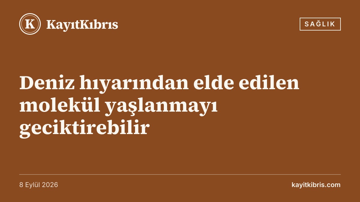 Deniz hıyarından elde edilen molekül yaşlanmayı geciktirebilir