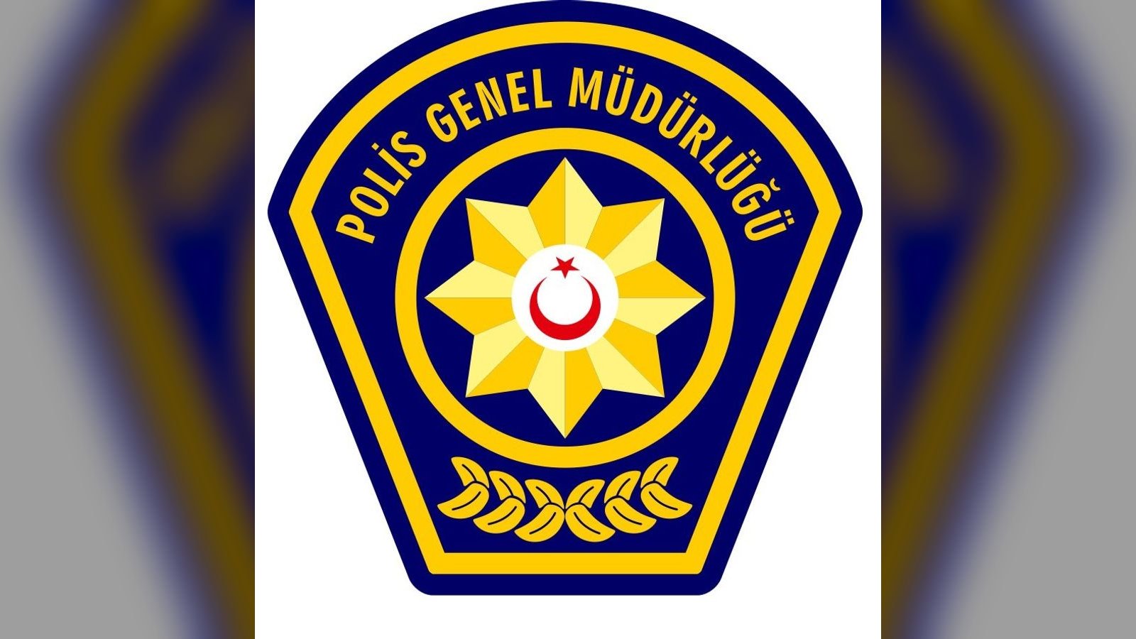 Ercan'da 2,8 milyon TL'lik gümrüksüz mal ele geçirildi, 3 kişi tutuklu