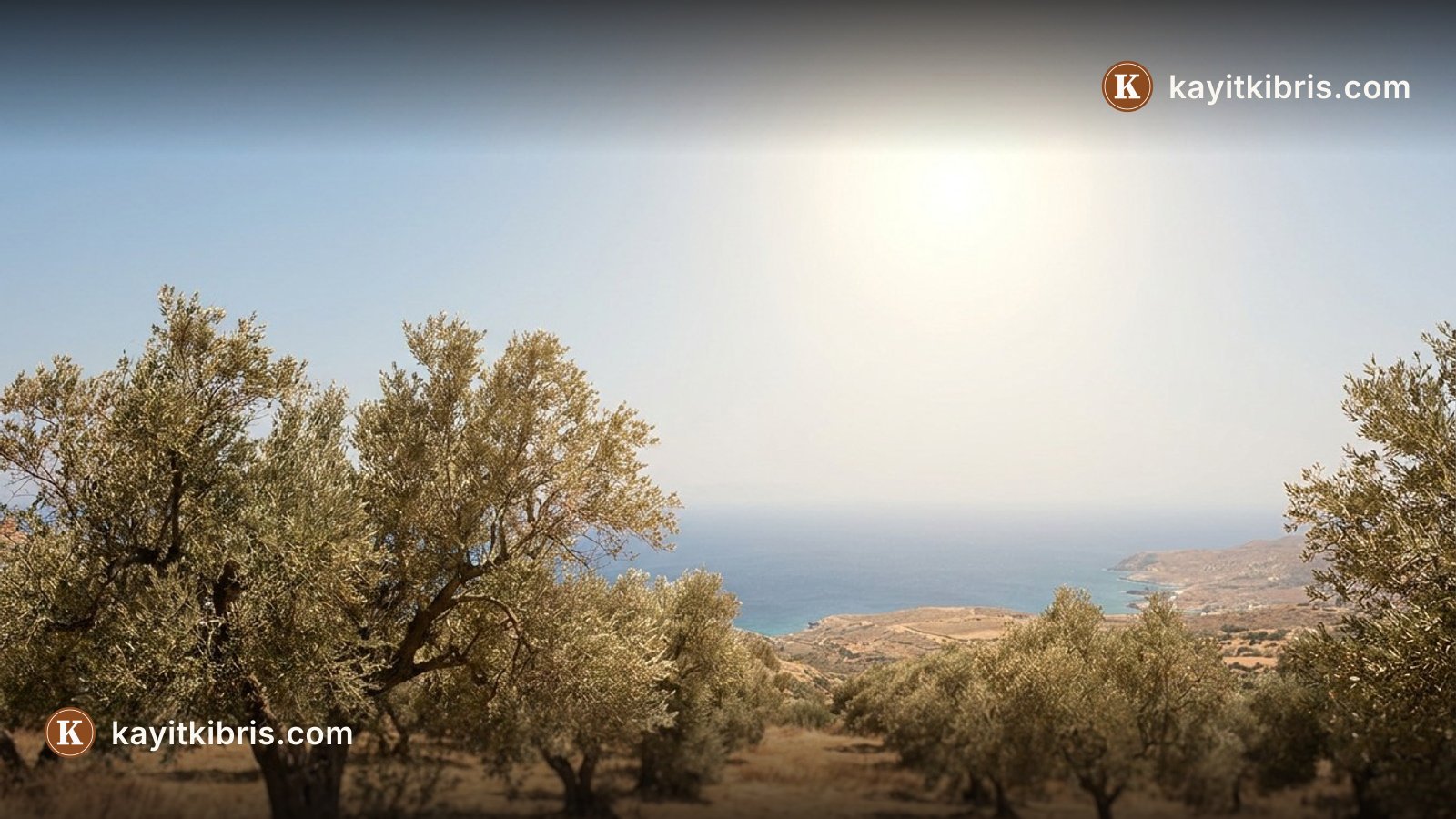 Fransa'da sıcak hava dalgaları mayıstan bu yana 8 bine yakın ek ölüme yol açtı