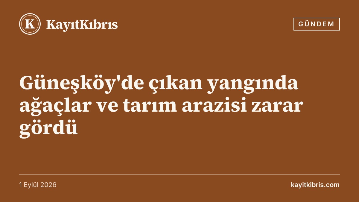 Güneşköy'de çıkan yangında ağaçlar ve tarım arazisi zarar gördü