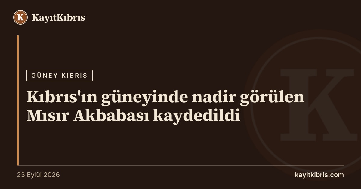 Kıbrıs'ın güneyinde nadir görülen Mısır Akbabası kaydedildi