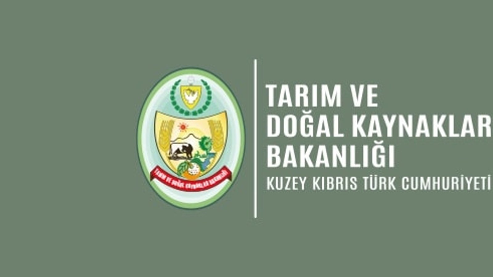 Küçükbaş hayvan başı destek ödemesi yapıldı
