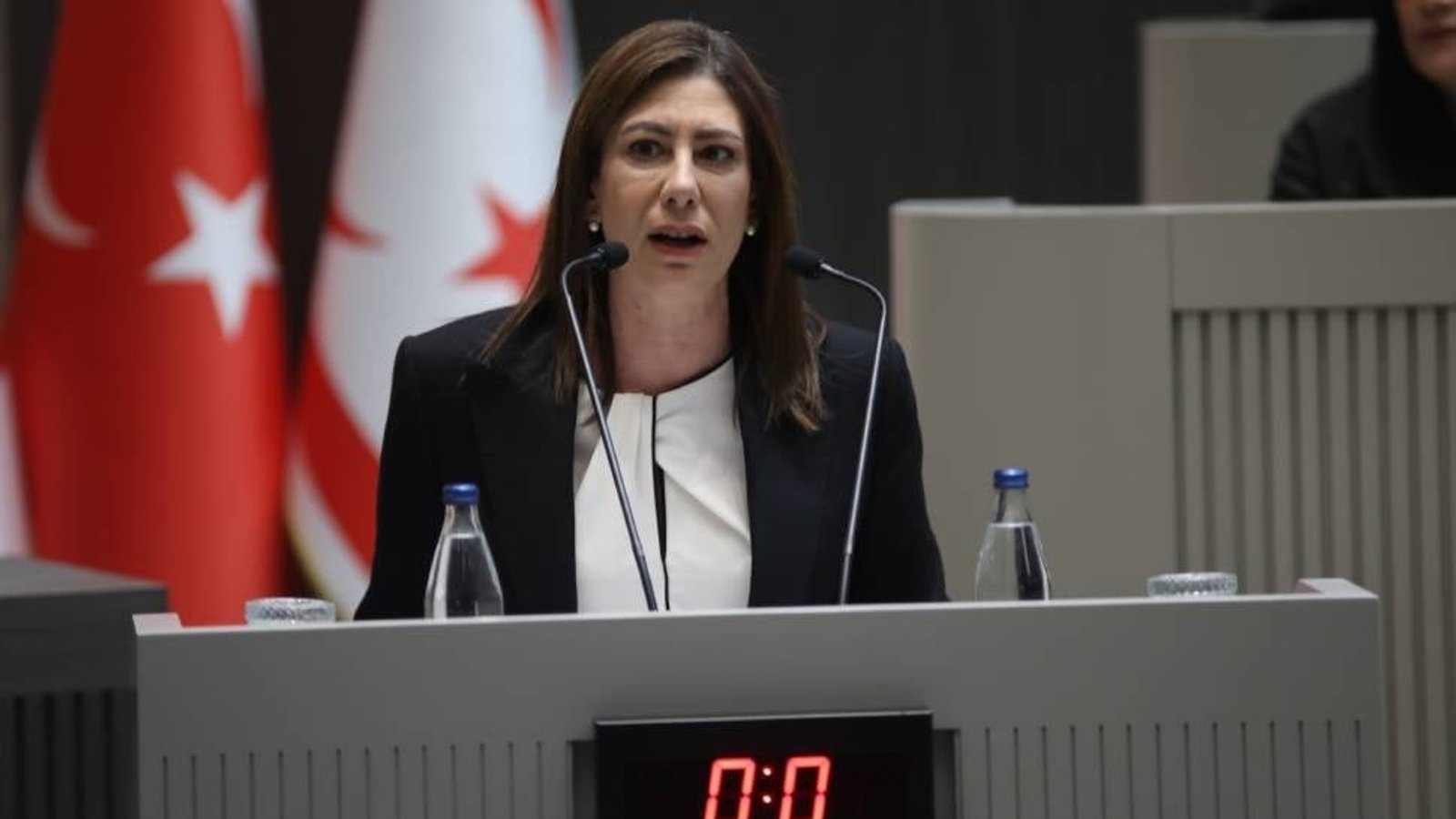 Sıla Usar İncirli: Hükümet acı gündemi kendi ajandasına yontuyor
