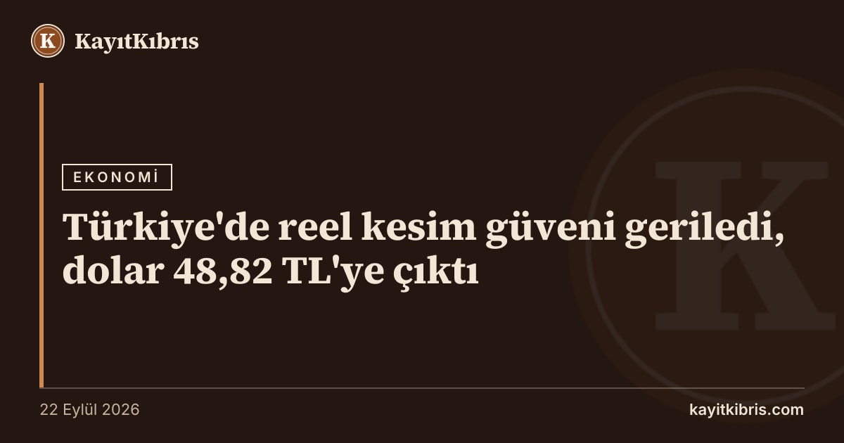 Türkiye'de reel kesim güveni geriledi, dolar 48,82 TL'ye çıktı