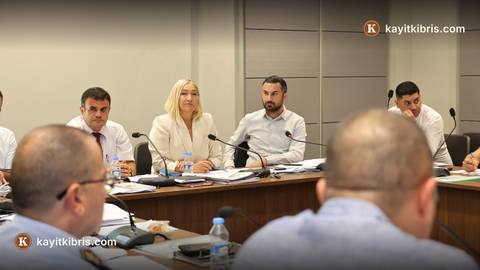 Ateşli Silahlar Yasa Tasarısı ile güvenlik kuralları güçlendirilecek
