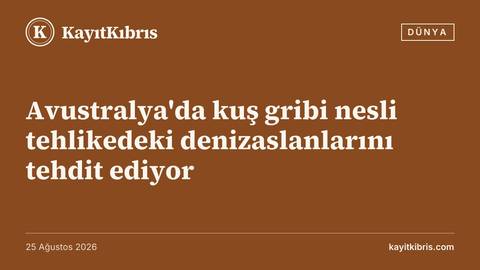 Avustralya'da kuş gribi nesli tehlikedeki denizaslanlarını tehdit ediyor