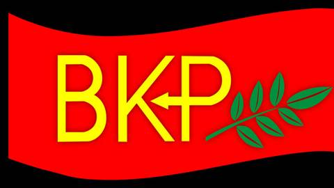 BKP'den 1 Eylül Dünya Barış Günü mesajı