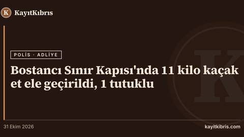 Bostancı Sınır Kapısı'nda 11 kilo kaçak et ele geçirildi, 1 tutuklu