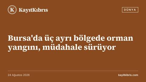 Bursa'da üç ayrı bölgede orman yangını, müdahale sürüyor