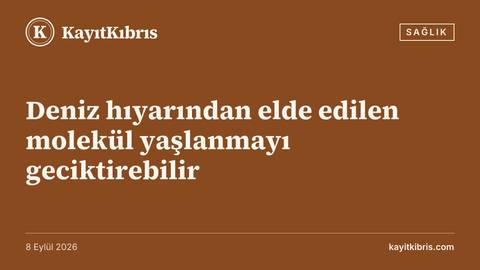 Deniz hıyarından elde edilen molekül yaşlanmayı geciktirebilir