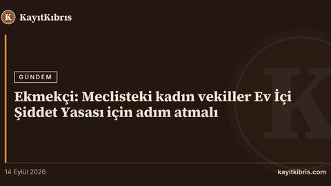 Ekmekçi: Meclisteki kadın vekiller Ev İçi Şiddet Yasası için adım atmalı