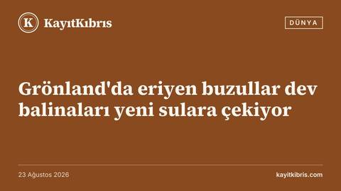 Grönland'da eriyen buzullar dev balinaları yeni sulara çekiyor