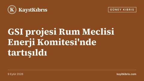 GSI projesi Rum Meclisi Enerji Komitesi'nde tartışıldı