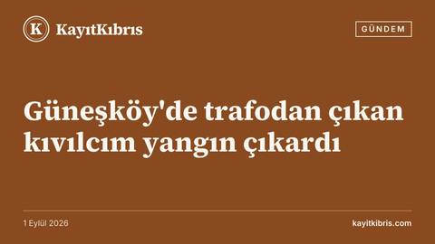 Güneşköy'de trafodan çıkan kıvılcım yangın çıkardı