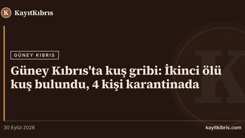 Güney Kıbrıs'ta kuş gribi: İkinci ölü kuş bulundu, 4 kişi karantinada