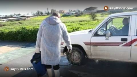 Güney Kıbrıs'ta şap hastalığı kontrol altına alındı