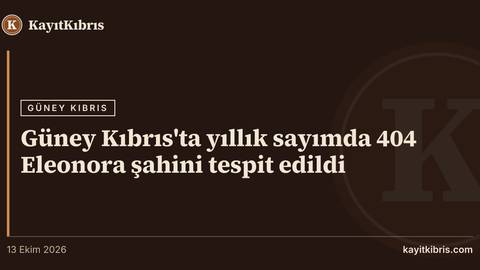 Güney Kıbrıs'ta yıllık sayımda 404 Eleonora şahini tespit edildi