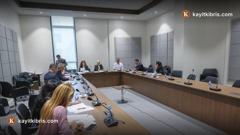 Güvenlik kamu görevlileri ile araç satıcılarına ilişkin yasa değişiklikleri komitede görüşüldü