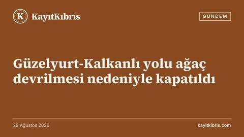 Güzelyurt-Kalkanlı yolu ağaç devrilmesi nedeniyle kapatıldı