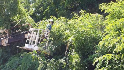 Haspolat Ağıllar ve Levent Çiftliği'nde Cumartesi 2 saat elektrik kesintisi