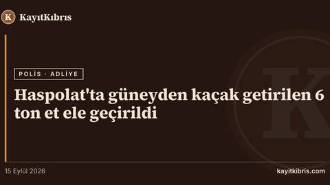 Haspolat'ta güneyden kaçak getirilen 6 ton et ele geçirildi