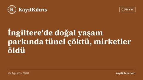 İngiltere'de doğal yaşam parkında tünel çöktü, mirketler öldü