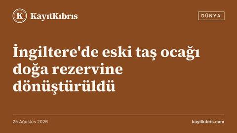 İngiltere'de eski taş ocağı doğa rezervine dönüştürüldü