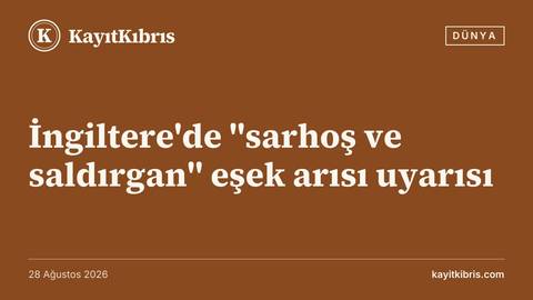 İngiltere'de "sarhoş ve saldırgan" eşek arısı uyarısı
