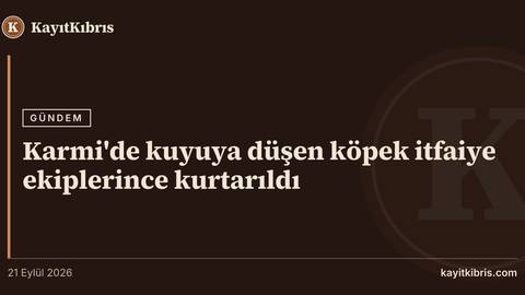 Karmi'de kuyuya düşen köpek itfaiye ekiplerince kurtarıldı