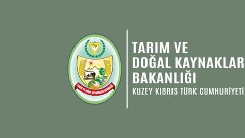 Küçükbaş hayvan başı destek ödemesi yapıldı