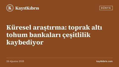 Küresel araştırma: toprak altı tohum bankaları çeşitlilik kaybediyor
