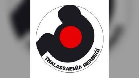 Kuzey Kıbrıs Thalassaemia Derneği yaz kampı düzenliyor