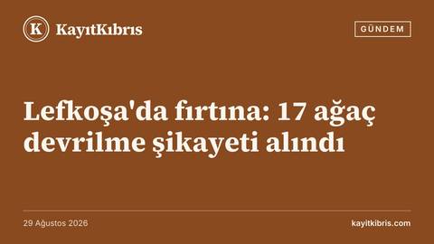 Lefkoşa'da fırtına: 17 ağaç devrilme şikayeti alındı