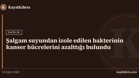 Şalgam suyundan izole edilen bakterinin kanser hücrelerini azalttığı bulundu