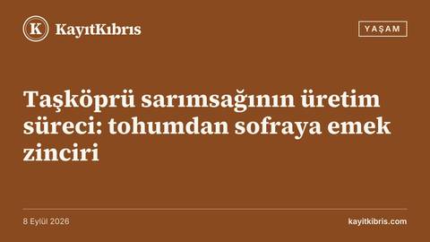 Taşköprü sarımsağının üretim süreci: tohumdan sofraya emek zinciri