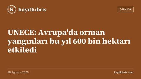 UNECE: Avrupa'da orman yangınları bu yıl 600 bin hektarı etkiledi