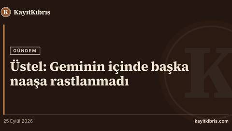 Üstel: Geminin içinde başka naaşa rastlanmadı